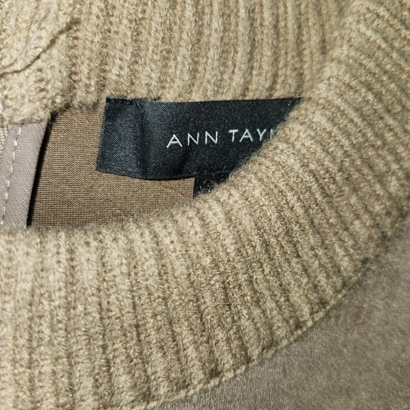 Ann Taylor Tan faux suede Dress with Knit Sleeves - Picture 3 of 4